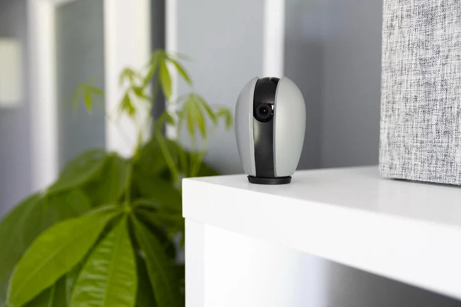 The Future of Home Security: Smart Cameras and Surveillance Systems